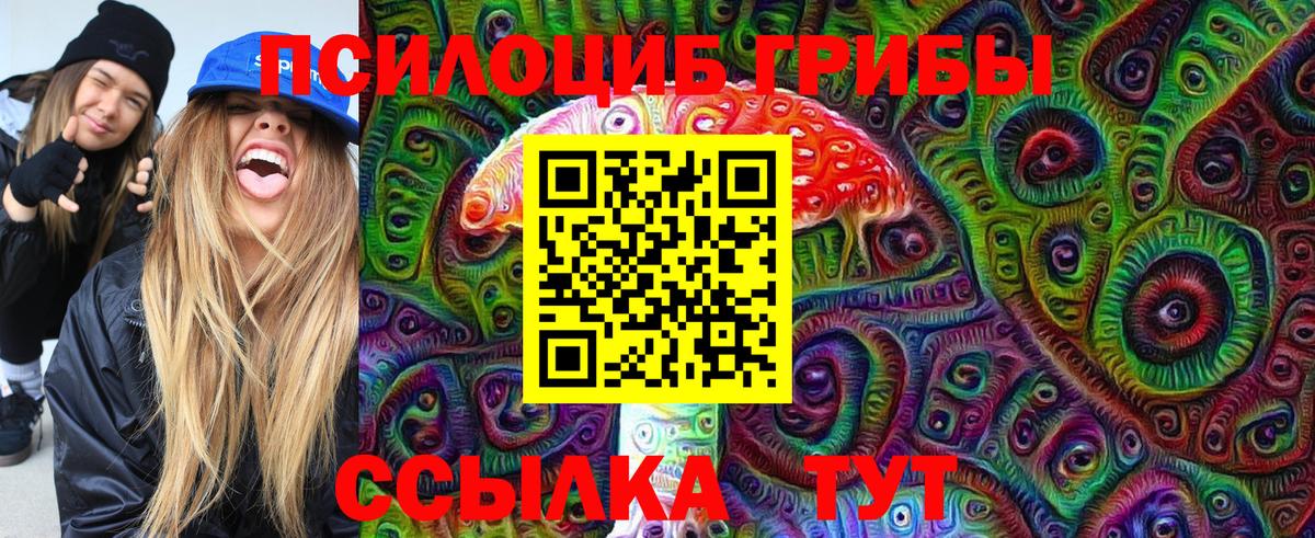 Кандалакша  Псилоцибиновые грибы Psilocybe  Псилоцибиновые грибы мухоморы  Вход с VPN 