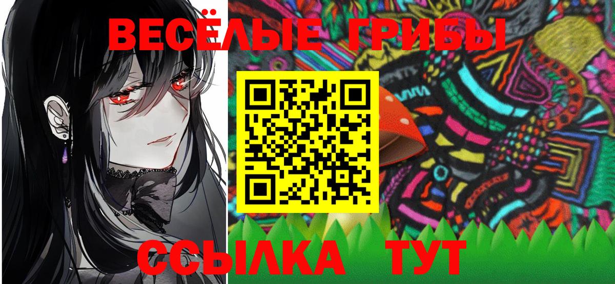 Галлюциногенные грибы GOLDEN TEACHER Кандалакша